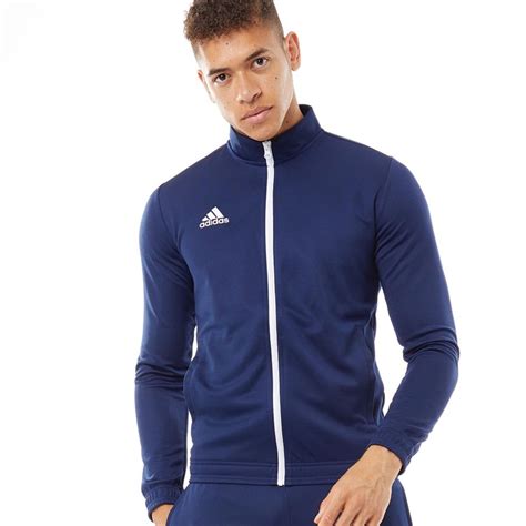 adidas entrada blauw